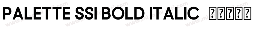 Palette SSi Bold Italic字体转换